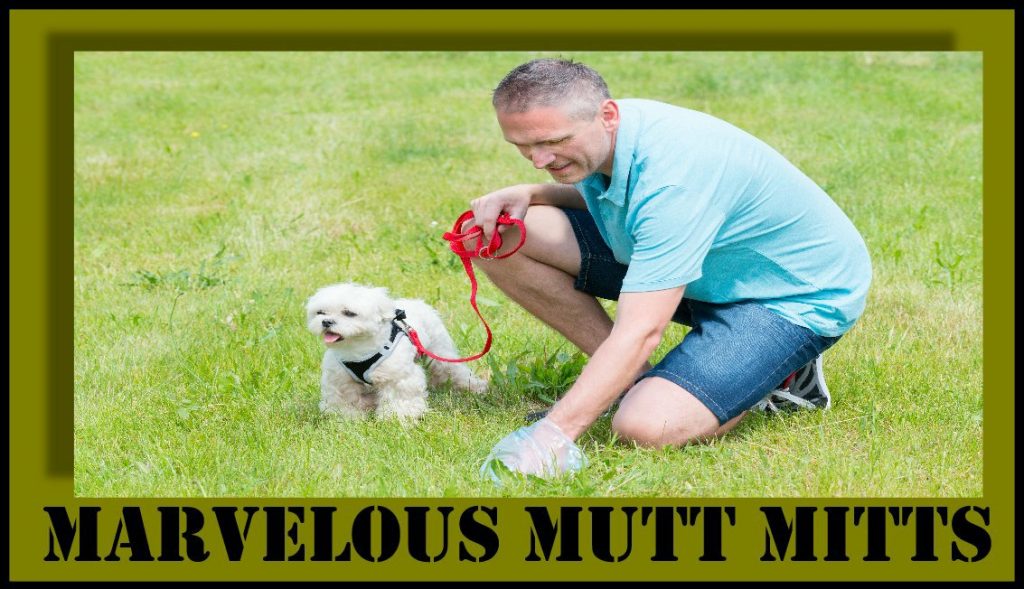 Marvelous Mutt Mitts